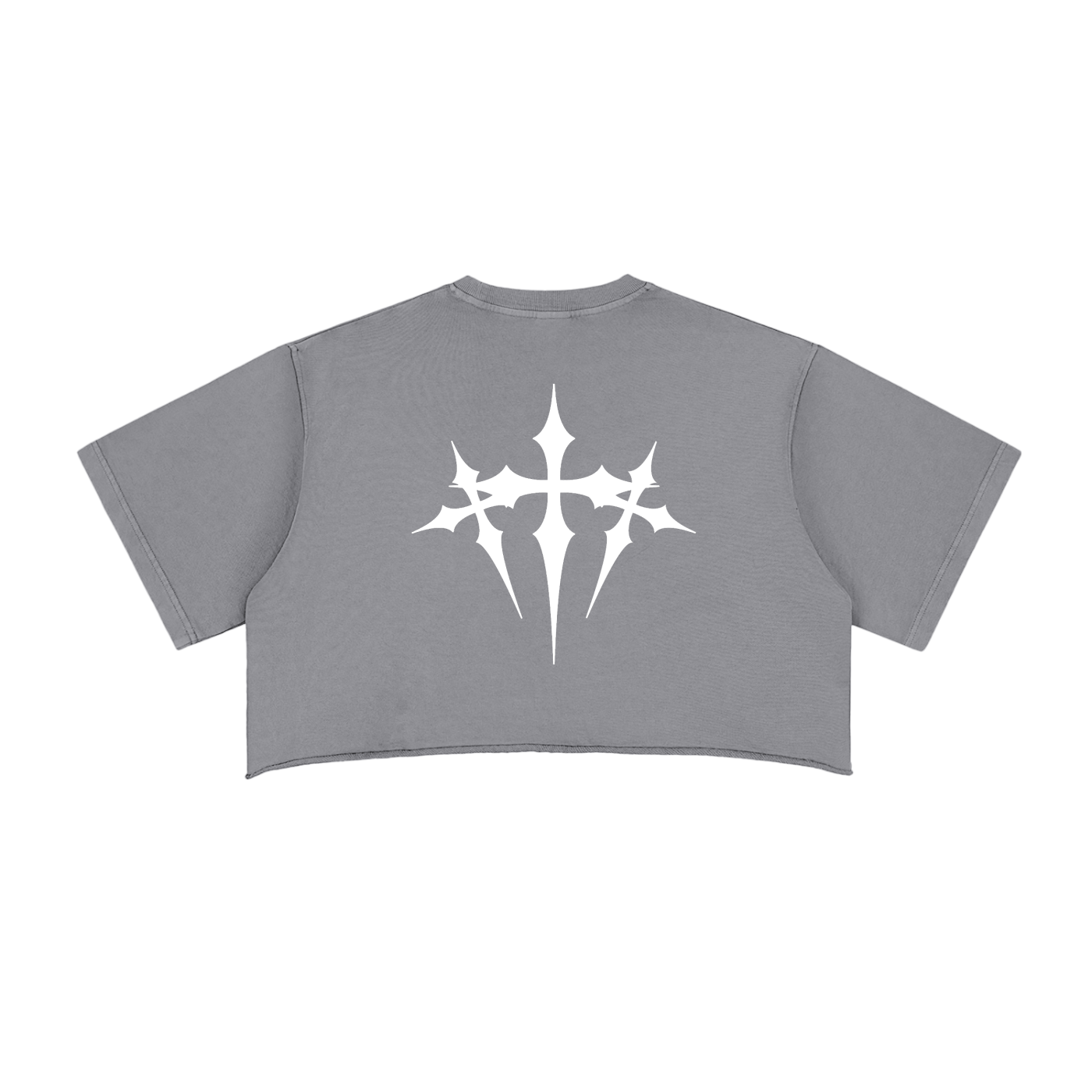CASHIOOO (I AM ART) Snow Washed Raw Edge Crop Top